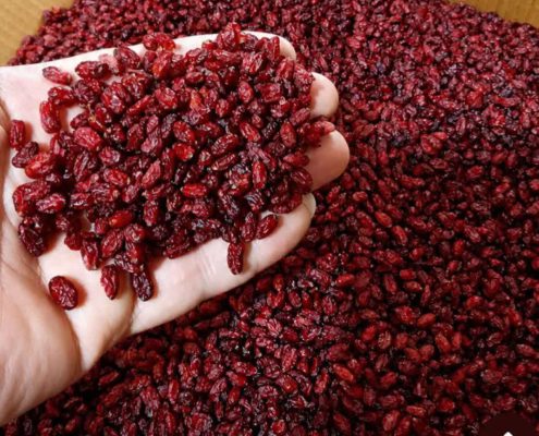 صادرات زرشک