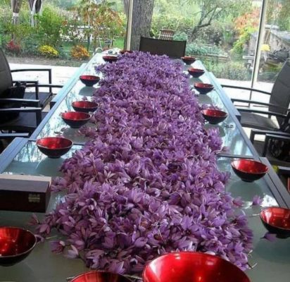 زعفران 
پارسه آرش