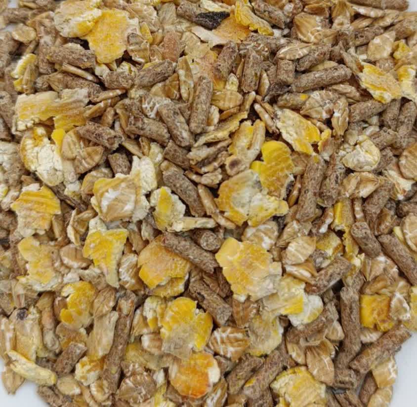 آجیلی